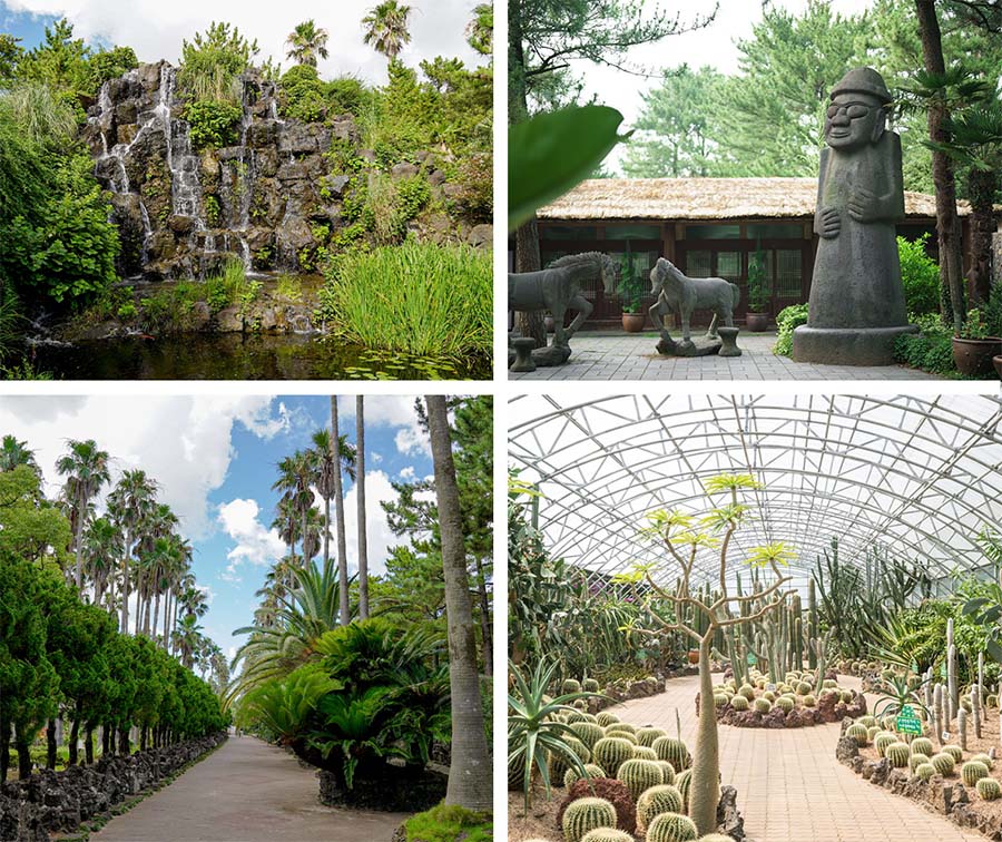 Parque Hallim (한림공원) jeju corea del sur, hay muchos tipos del arboles y plantas. 