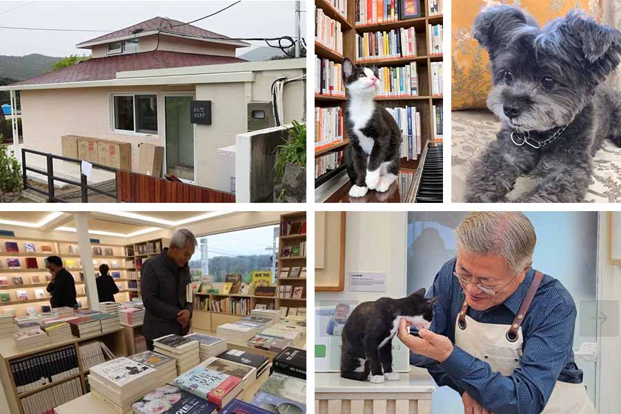 Librería de Pyeongsan, hay una librería pequeña.